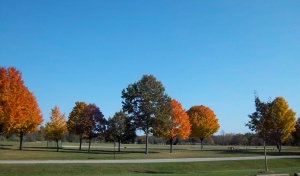 Hudson Mills-fall color